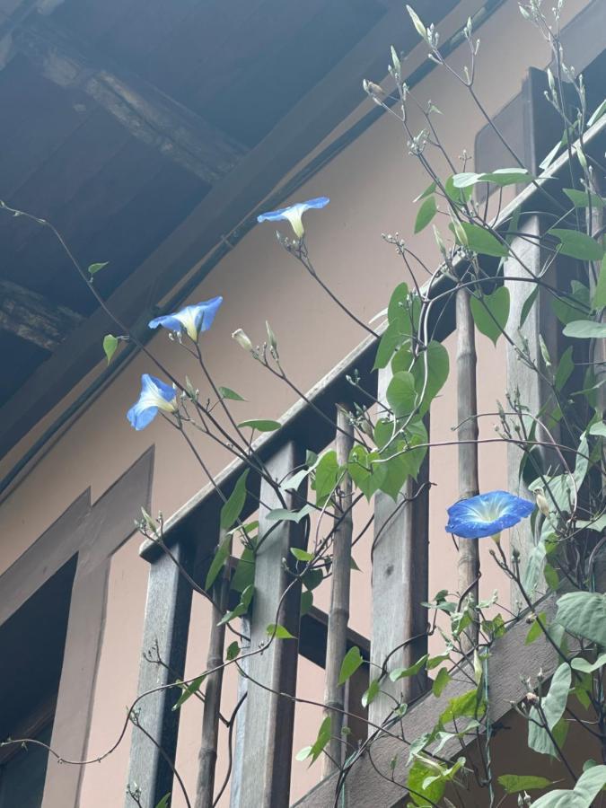 基多Campus Residencias住宿加早餐旅馆 外观 照片
